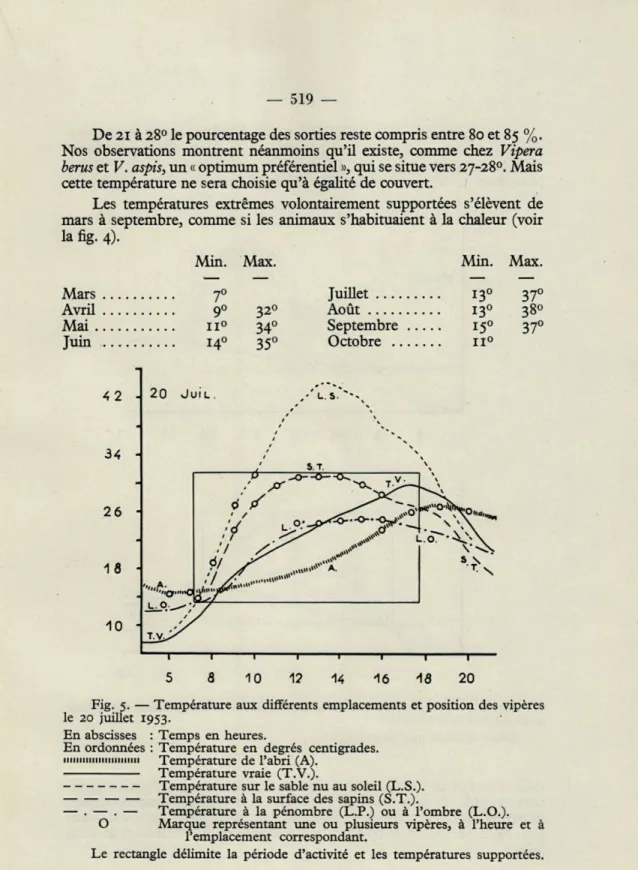 Fig.  5.  —  Température  aux  différents  emplacements  et position des  vipères  le  20  juillet  1953