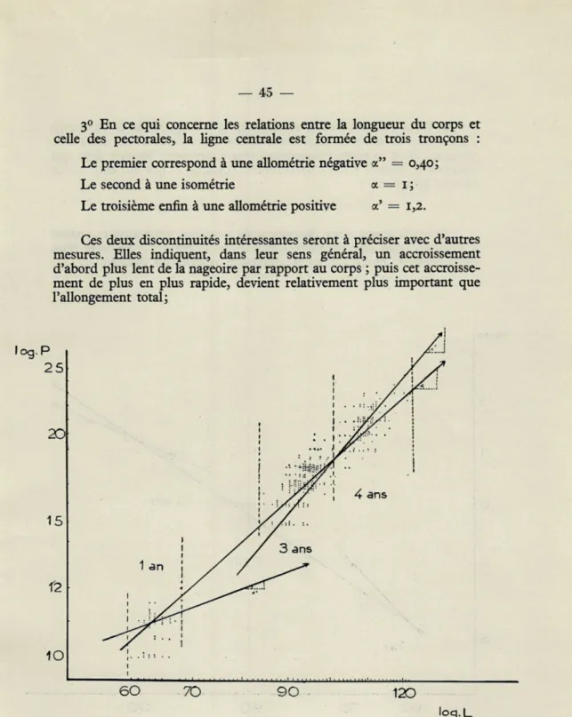 Fig.   5.   —  Relations  entre  la  longueur  totale  du  corps  et  la longueur  des  nageoires  pectorales