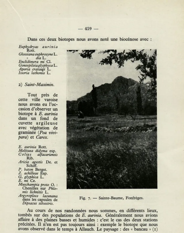 Fig.  7.  —  Sainte-Baume,  Fonfrèges. 