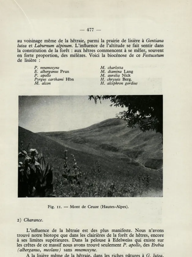 Fig.  n.  —  Mont  de  Ceuze  (Hautes-Alpes). 
