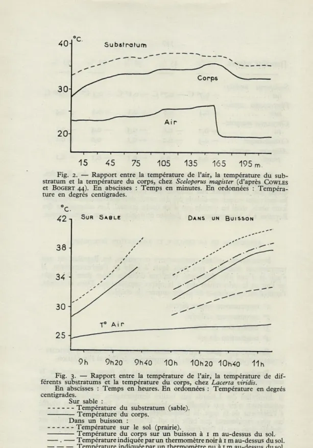 Fig.   2.   —  Rapport  entre  la  température  de  l'air,  la  température  du  sub- sub-stratum  et  la  température  du  corps,  chez  Sceloporus  magister  (d'après   COWLES 