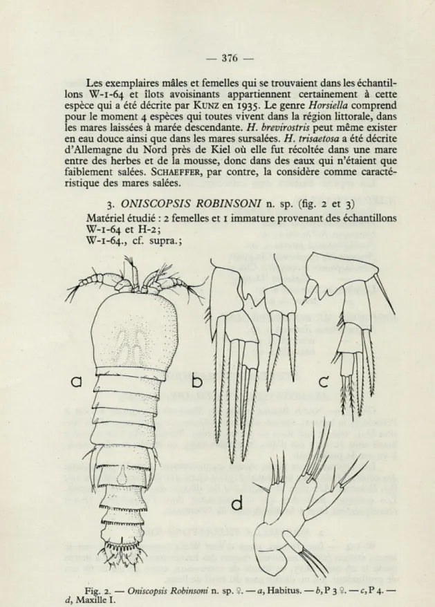 Fig.  2.  —■  Oniscopsis  Robinsoni  n.  sp. ?. — a, Habitus. — b, P  3  9. — c, P 4.  —■ 