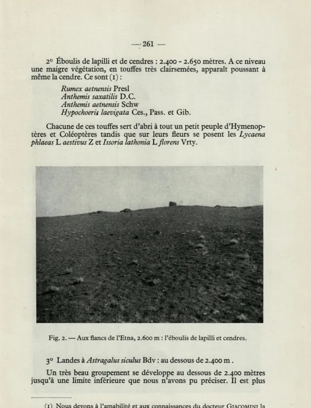 Fig.  2. — Aux flancs de l'Etna, 2.600 m  : l'éboulis de lapilli et cendres. 
