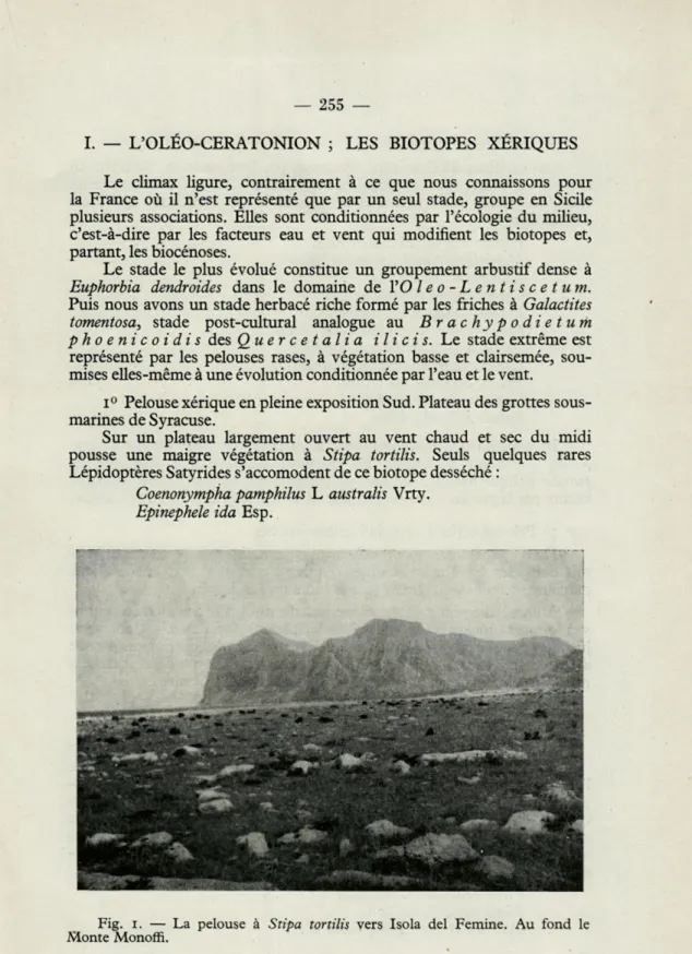 Fig.  i.  —  La  pelouse  à  Stipa  tortilis  vers  Isola  del  Femine.  Au  fond  le  Monte Monoffi