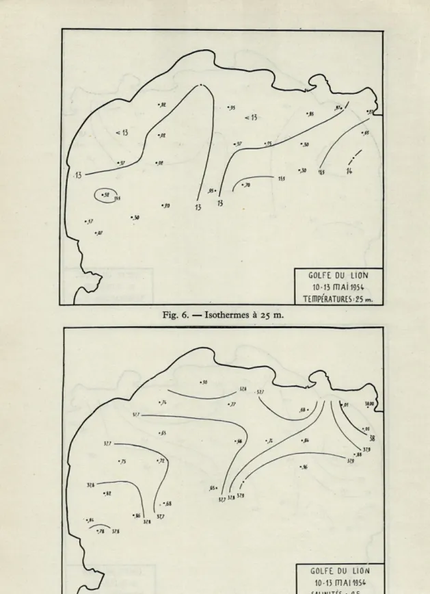 Fig.  7.  —  Isohalines  à  25  m. 