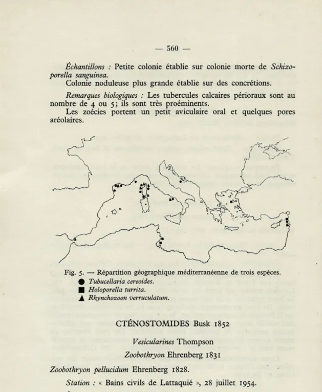 Fig.  5.  —  Répartition  géographique  méditerranéenne  de  trois  espèces. 