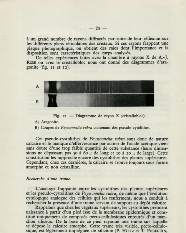 Fig.  12.  —  Diagramme  de  rayon  X  (cristallobloc). 