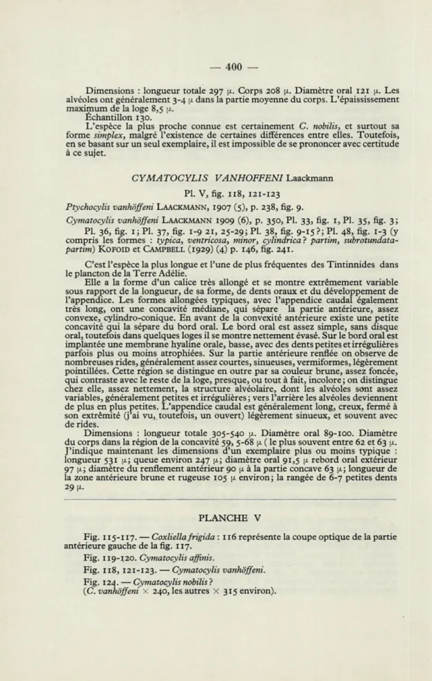 Fig.   115-117.  —  Coxliella frigida  :   116  représente la coupe optique de la partie  antérieure gauche  de la fig