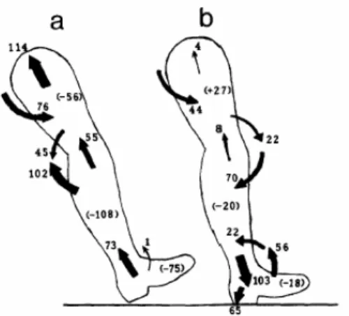 Figure 13 : Transfert d’énergie  mécanique au niveau de différentes  articulations avant et pendant l’attaque 
