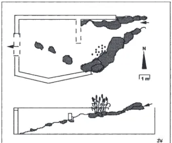Fig. 2. – Configuration spatiale et coupe verticale du bas- bas-sin des Alzines ; en gris : blocs rocheux.