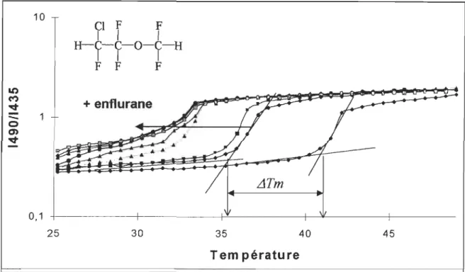 FIGURE 3.2  Température de transition de phase et variation de celle-ci lors de  l'ajout d'anesthésique, ici, de l'Enflurane
