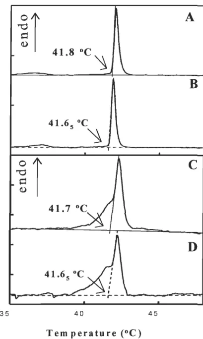 FIGURE 4.1  Courbes  de  calorimétrie différentielle à  balayage  de  vésicules  de  DPPC  multi- (A,  D)  et unilamellaires  (C,  D)  contenant (A,  C)  ou  non  (B,  D)  0.1  %  (M/M)  de Laurdan La concentration en  DPPC  est de 18 mM et le taux de chau
