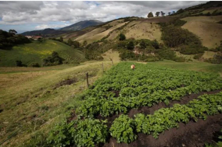 Fig. 7 : Paysage agricole dans les Andes Equatoriennes (Province de Carchi, 3300 m). Au premier plan à droite  un champ de pomme de terre est inclus dans une matrice d'habitats hétérogènes et artificialisés à plusieurs degrés  (prairies, bois, haies, vallé