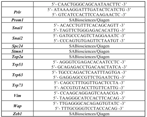 Tableau 3 : Liste des oligonucléotides utilisés au cours des expériences de PCR en temps réel