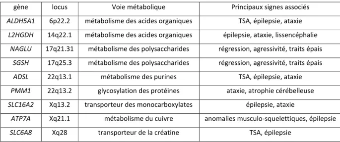 Tableau 6 : exemples de gènes de maladies métaboliques où la DI est au premier plan 