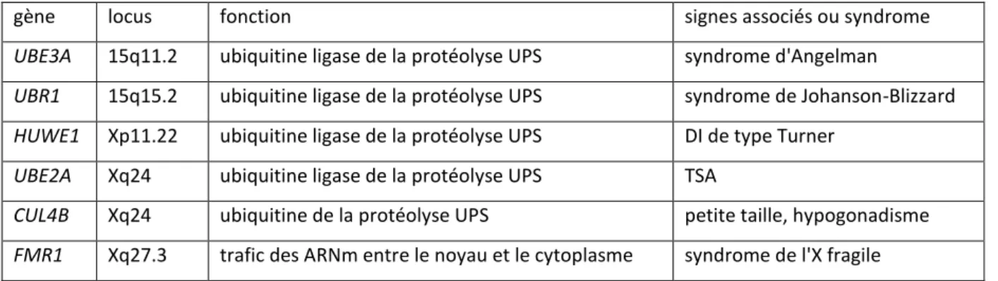 Tableau 11 : exemples de gènes de DI impliqués dans la régulation des protéines  postsynaptiques 