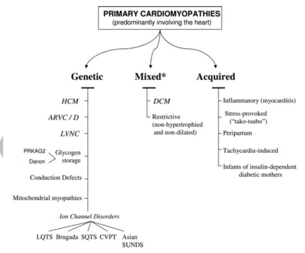 Figure 4: Classification AHA 2006 (Arbustini et al. 2013)  