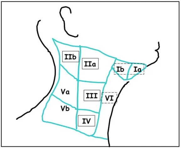 Figure 1a : Groupes ganglionnaires selon la classification de Robbins (cou droit). 