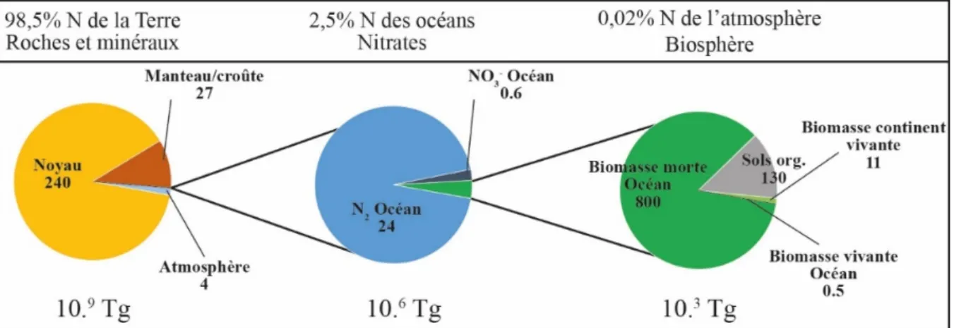Figure  II.1 :  Taille  des  différents  réservoirs  d’azote  sur  Terre  exprimée  en  Tg  (données  d'après  Johnson  et  Goldblatt, 2015) 