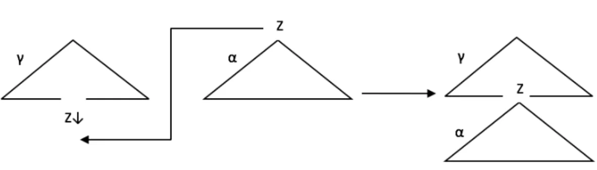 Figure 3.2 : Opération de substitution
