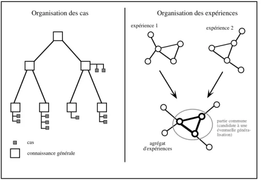 Fig. 1.3 - Différences entre la structuration des cas et celle des expériences