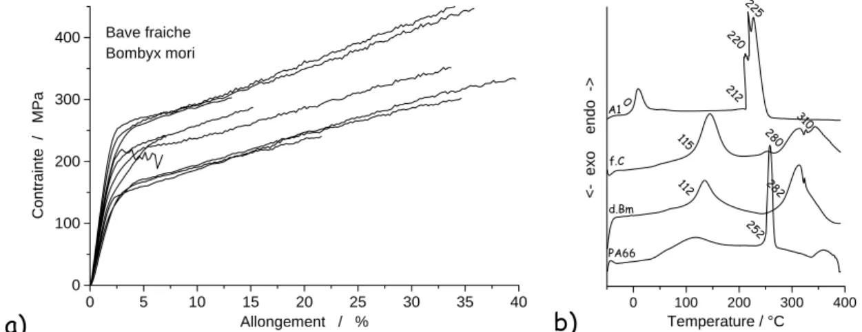 Fig. 2. a) exemples de courbes contrainte-allongement obtenues pour des baves fraiches extraites  manuellement ; b) courbes DSC de précurseur(A1), de fibres de cocon frais (f.c.), de cocon décreusé 