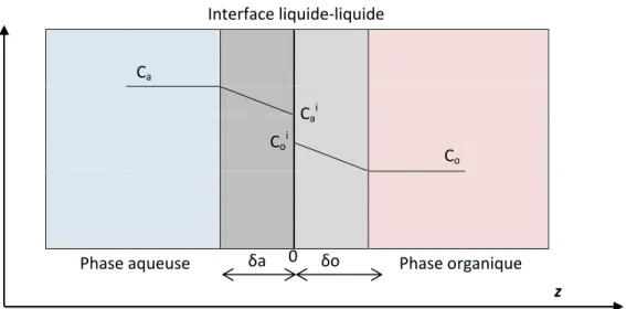 Figure 6 - Schéma de transfert de matière selon le modèle du double film.  