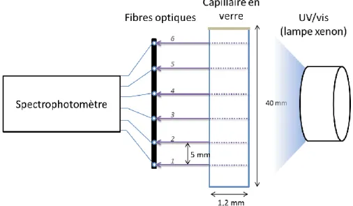 Figure 25 - Montage expérimental pour la détermination des coefficients de diffusion en capillaire 