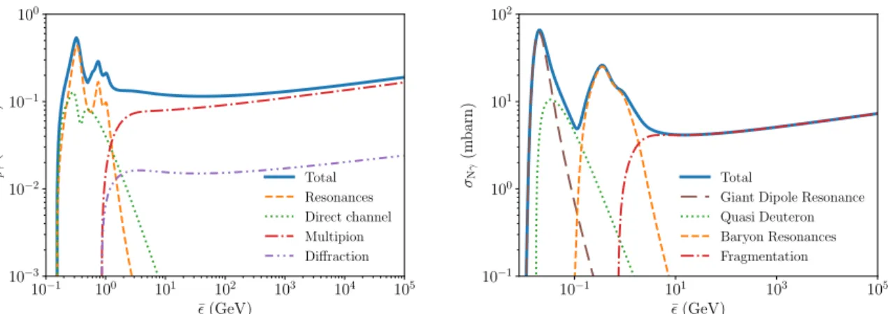 Figure 1.7: Total photohadronic cross sections for proton (left) and for iron (right)