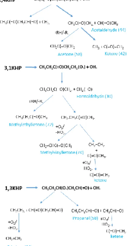 Figure 4: Main expected low-temperature reaction pathways from the major predicted KHPs  deriving from n-pentane (Table 1); possible minor pathways towards acids or diones are not 