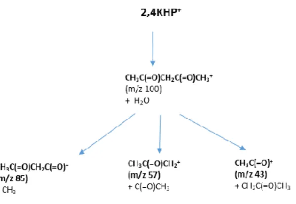 Figure 5: Fragmentation pathways proposed for 2,4-KHP +  issued from the major KHP formed  during n-pentane low-temperature oxidation