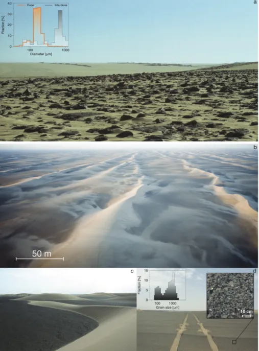 Figure 11. Examples of size segregation in terrestrial dune fields: (a) Ténéré desert (Niger) and (b–d) Kumtagh desert (China)