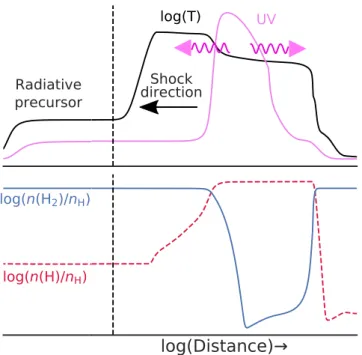 Fig. 1. Scheme of the profiles of temperature and UV production (top), and hydrogen abundances (bottom), for typical J-type molecular shocks.