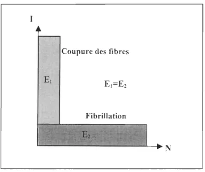 FIGURE 3.1:  Effets de fibrillation  et de coupure des fibres  selon les valeurs N et 1