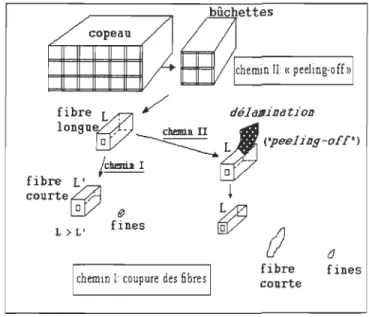 FIGURE 3.2:  Schéma de conversion des copeaux par un procédé mécanique [69]. 