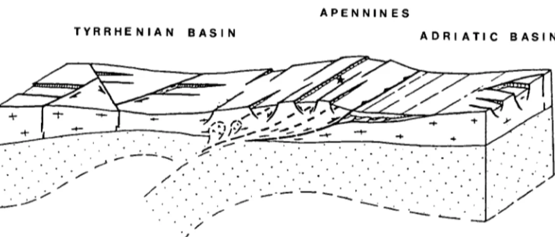 FIG.  3.  Schematic block diagram across Perugia showing continental subduction (after Bousquet and  Philip,  1986)