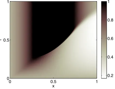 Figure 10. Entropy solution u of the non-autonomous Buckley-Leverett equation.