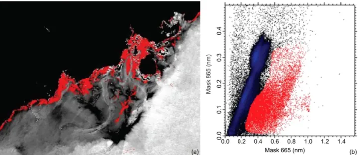 Figure 9. Cross relationships of  in situ  Chl-a to Remote sensing reflectance C2RCC490 nm, 560 nm, 665 nm, 705 nm (a), (b), (c),  (d), ratio bleu to green (e) and NIR to red band (f)