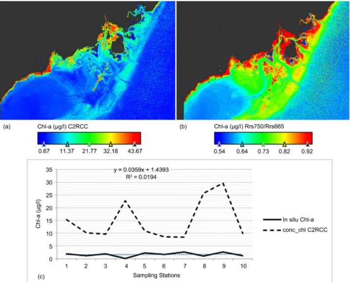 Figure 10. (a) Spatial distribution of the Chl-a (conc_chl) C2RCC, (b) Chl-a (NIR/Red) ratio (Equation (3)) and (c) Correlation  between conc_chl C2RCC, and data and chlorophyll a measured from water samples  in situ  Chl-a