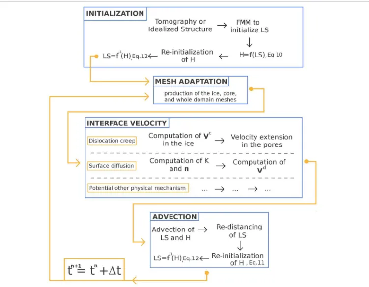 FIGURE 2 | Scheme of the model algorithm. Each blue box represents a core stage of the simulation.