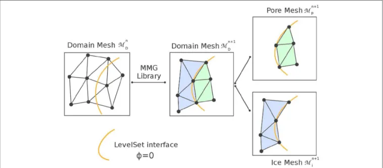 FIGURE 3 | Mesh adaptation of the domain following the LS function. The submeshes of the ice and pore phases M i , and M p are also produced during mesh adaptation.