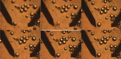 Fig. 10. Repulsion of the functionalised glass sphere when a functionalised Silicon Finger Tip (SiFit) approach to its.