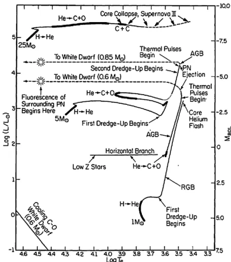 Figure 1.4: Evolutionary tracks in the Hertzprung-Russel diagram for three model stars with low (1 M ⊙ ), intermediate (5 M ⊙ ) and high (25 M ⊙ ) initial masses