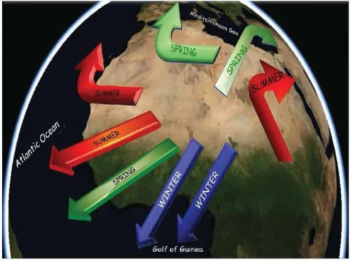 Figure 1.3 – Illustration des principales trajectoires de transport des panaches de poussi`eres d´esertiques depuis l’Afrique du nord inspir´ee de l’´etude de Middleton (1986) (Th`ese de Bou Karam, 2008).