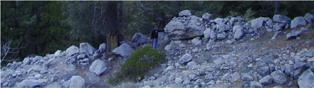 Fig. 1. Lateral levees along Channel 4 (Fig. 4) in Yosemite Valley.