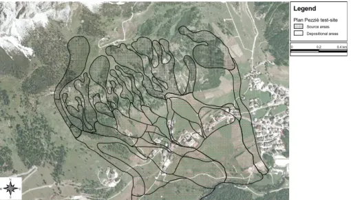 Fig. 4. Plan Pezzi`e test-site. Source and depositional areas of earth-debris flows are represented