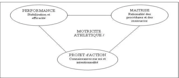 Figure 6. Modélisation du curriculum prescrit de l'athlétisme au lycée 