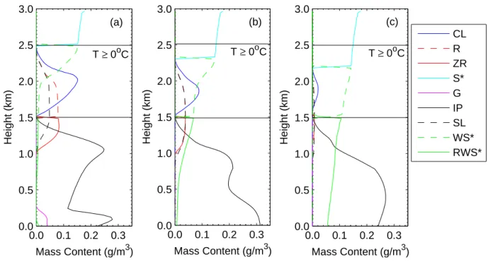 Fig. 6. The evolution of precipitation types and cloud droplets in gently ascending warm air is shown