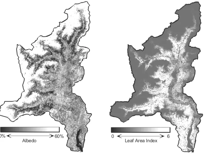 Fig. 8. Spatial distribution of Surface Albedo and LAI  in the Toce Basin on May 30th 1996