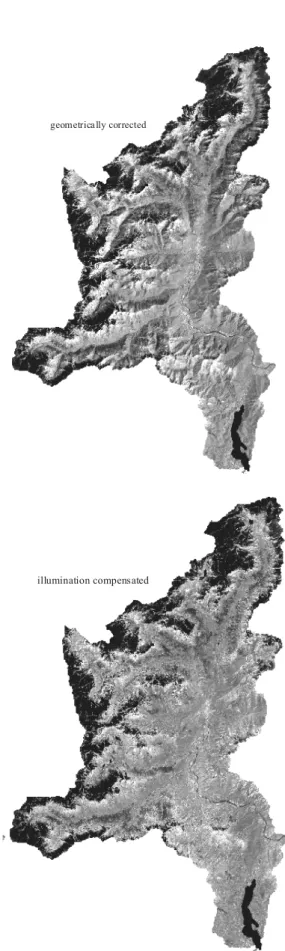 Fig. 2. Applied remote sensing methods for the determination of land use, albedo and LAI